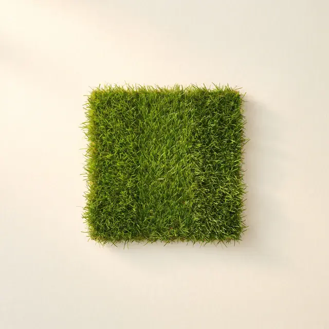 A patch of lawn cut into two clean mower stripes