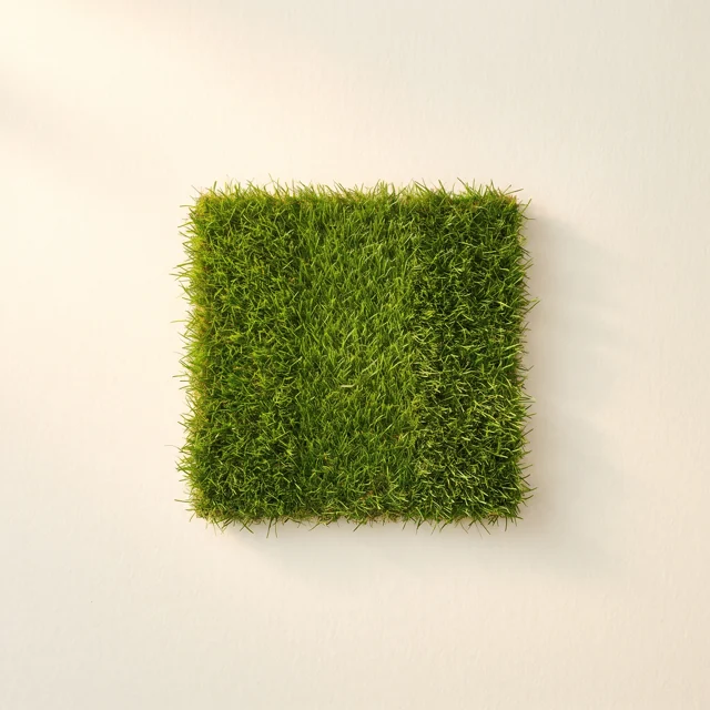 A patch of lawn cut into two clean mower stripes